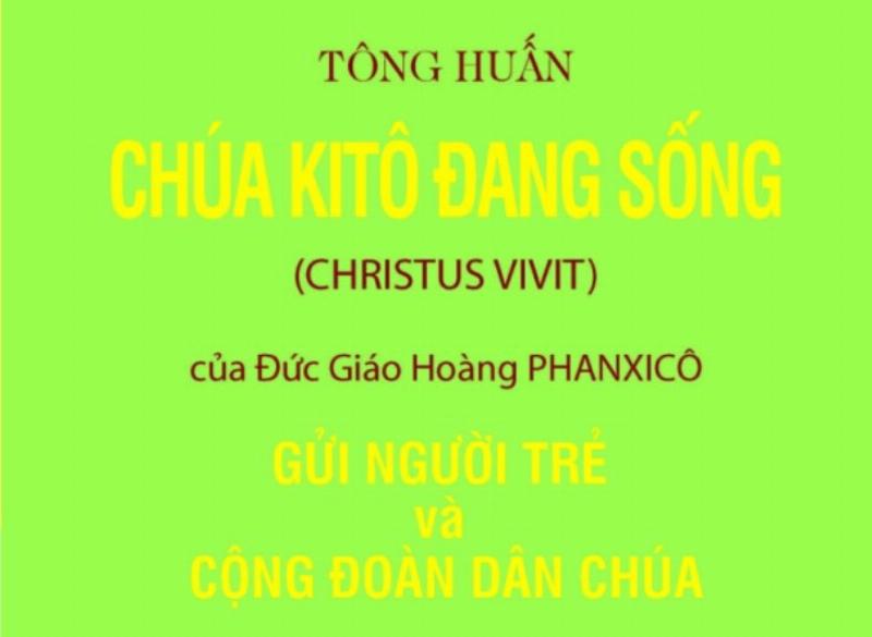 Rễ cây bám chặt vào đá ven sông, biểu tượng cho sự kiên cường lấy cảm hứng từ nội dung người lái đò sông đà